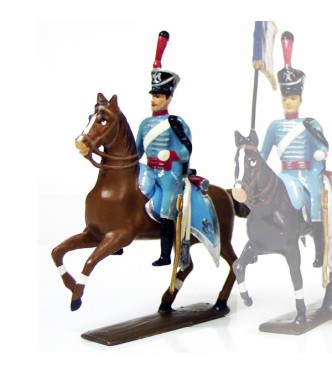 officier du 10e régiment de hussards (1808)