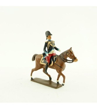 Aide de camp du maréchal Pérignon