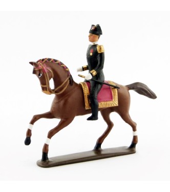 cavalier du Cadre Noir (pantalon noir)