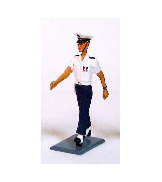 officier des Forces maritimes de l'aéronautique navale ("Aéronavale")