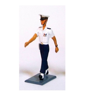 officier des Forces maritimes de l'aéronautique navale ("Aéronavale")