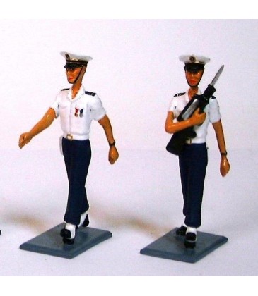 Forces maritimes de l'aéronautique navale ("Aéronavale")