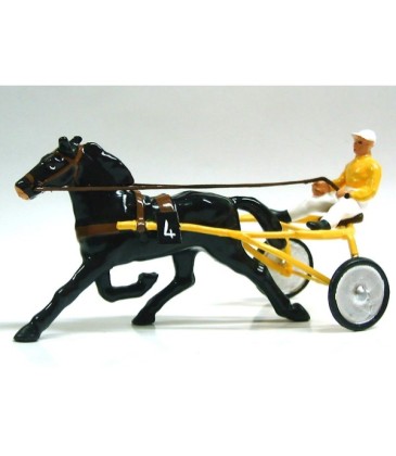 les courses de chevaux