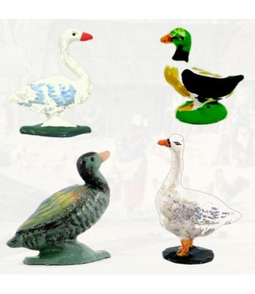 Canards, oies et cygnes (la Ferme)